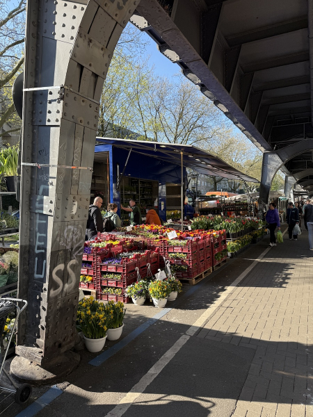 Weitere tolle Bilder des Isemarkts